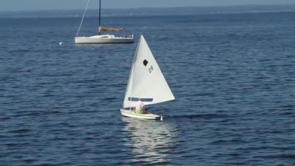 Mannen på liten segelbåt i styrelsen (2 av 2) — Stockvideo