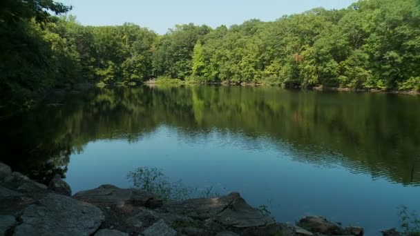 Lake surrounded by greenery — Stockvideo