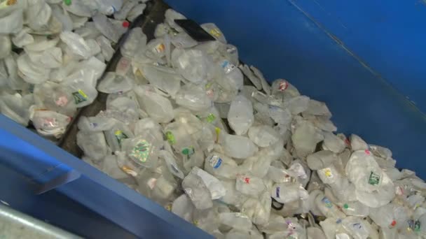 Dans les coulisses, regardez les étapes du recyclage moderne — Video