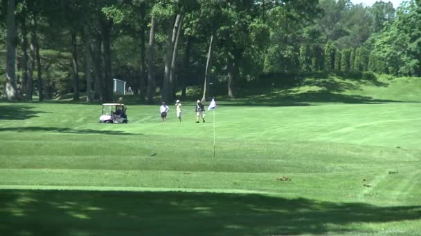 Golfeurs marchant près du chariot sur le terrain — Video