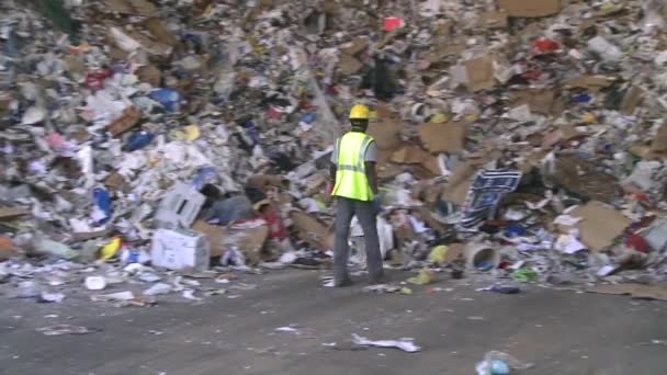 Achter de schermen kijken naar de stappen van moderne recycling — Stockvideo