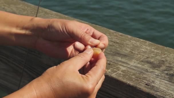 Homem isca gancho na linha de pesca — Vídeo de Stock