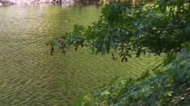 Rahatlatıcı Havzası (2 / 3)