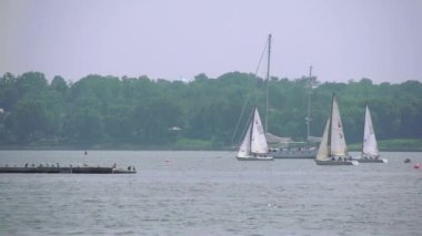 Doğal deniz manzarası (9 / 10)