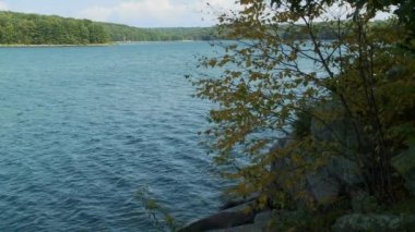 Sakin bay (6 / 6 inceliyorlar)