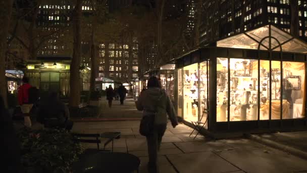 New York City park w nocy — Wideo stockowe