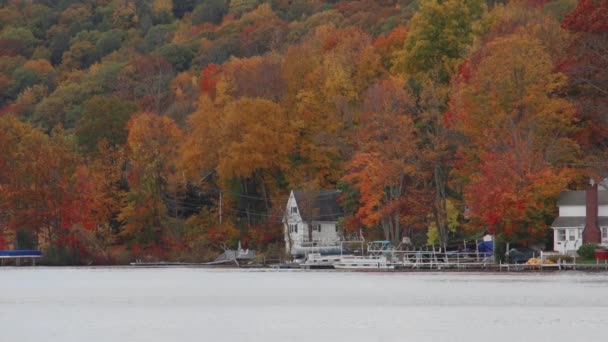 美しい森と湖に沿って家 — ストック動画