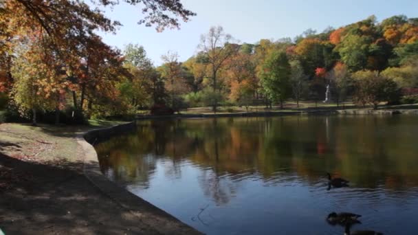 Couleurs automnales rayonnant sur un lac 