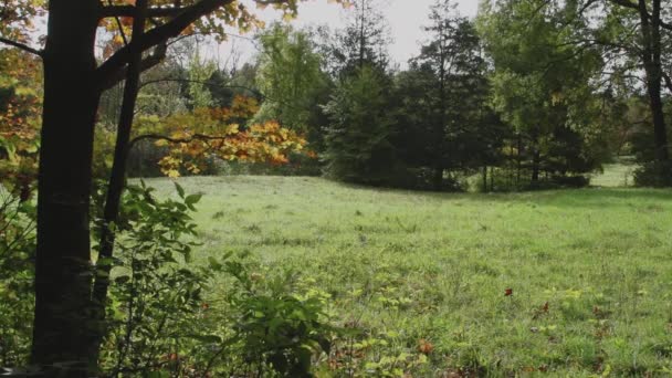 Isolé, ouvert préserver (2 de 5 )