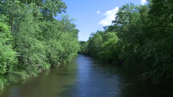 Krásná řeka protékající zelení (4 z 7) — Stock video