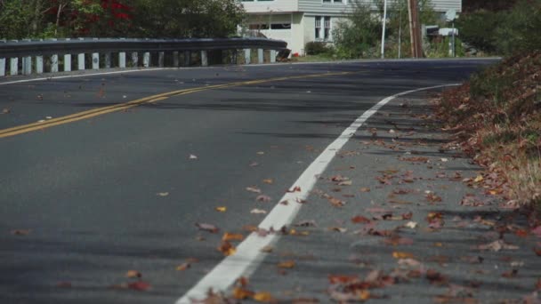 Driving on asphalt country road — Stock Video