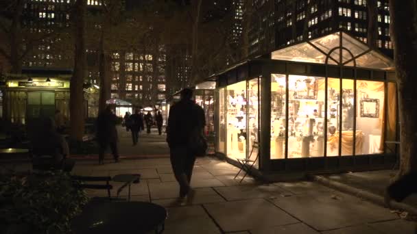 New York City Park à noite — Vídeo de Stock