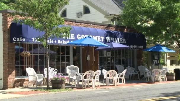 Ресторан Gourmet Whaler (1 из 2) ) — стоковое видео