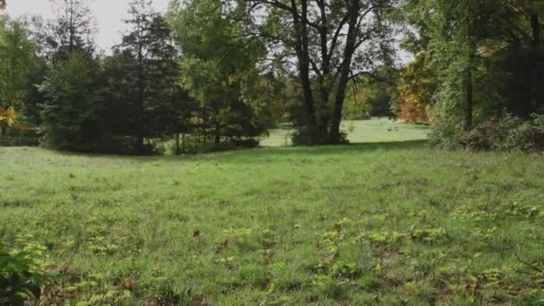 Isolé, ouvert préserver (3 de 5 )