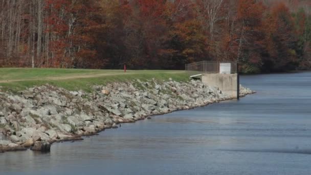 Rochers le long du rivage — Video