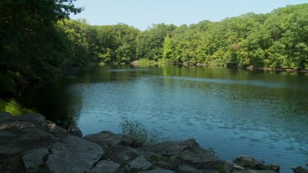 Lac entouré de verdure 