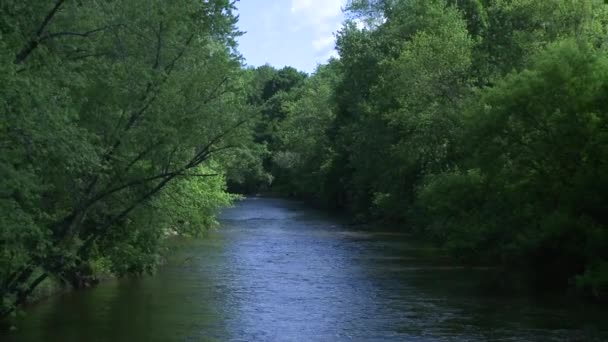 Hermoso río corriendo a través de la vegetación (5 de 7 ) — Vídeos de Stock