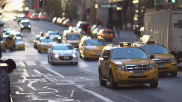 Taxi di New York occupati — Video Stock