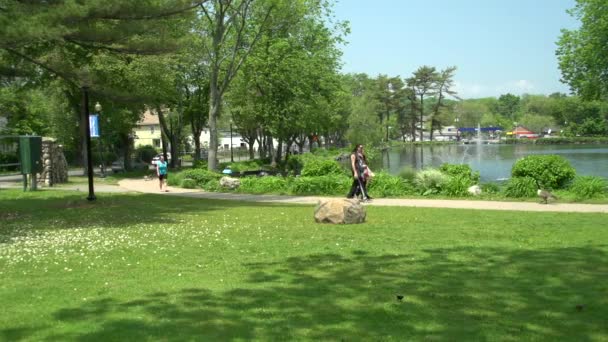 Hermoso día de verano en el parque (5 de 5 ) — Vídeos de Stock