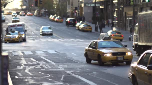 Ocupados taxis de Nueva York — Vídeo de stock