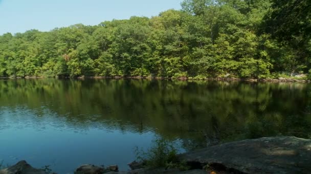 Озеро окружено зеленью — стоковое видео