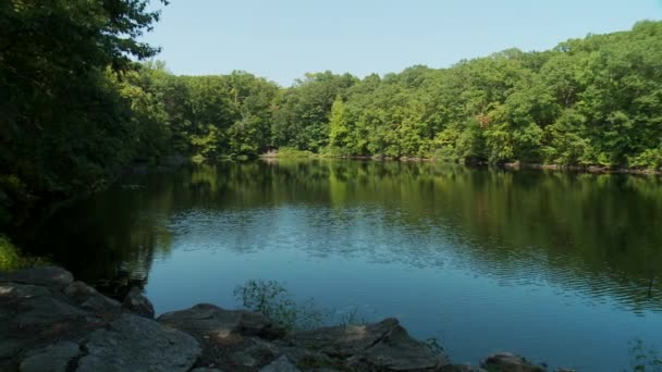 Jezioro otoczone zielenią — Wideo stockowe