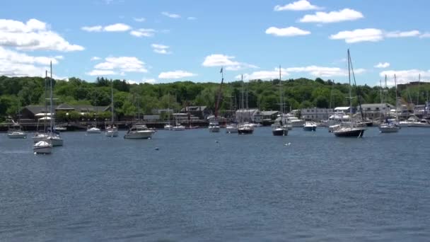 Vessels docked in the harbor (2 of 3) — Stock Video