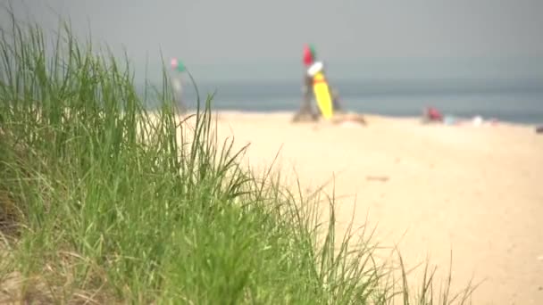 Praia de verão ensolarada (7 de 10 ) — Vídeo de Stock