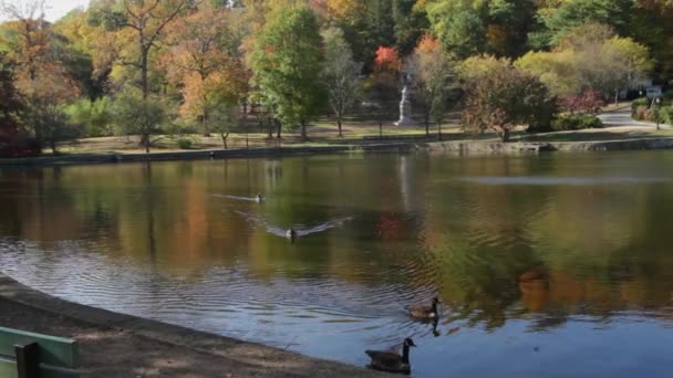 Φθινοπωρινά χρώματα που ακτινοβολεί πάνω από μια λίμνη — Αρχείο Βίντεο
