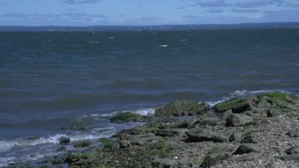Soğuk bahar limanının kayalık sahil şeridi — Stok video