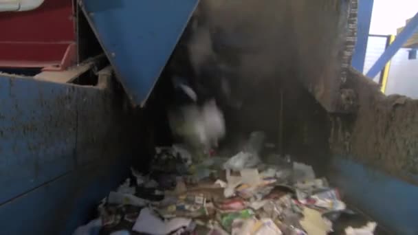 Za kulisami przyjrzeć kroki nowoczesne recyklingu — Wideo stockowe