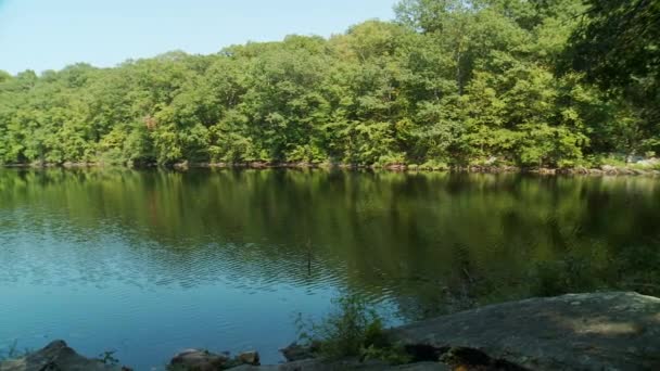 Lac entouré de verdure 