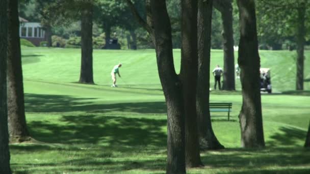 Mężczyzna jazdy piłeczki do golfa — Wideo stockowe