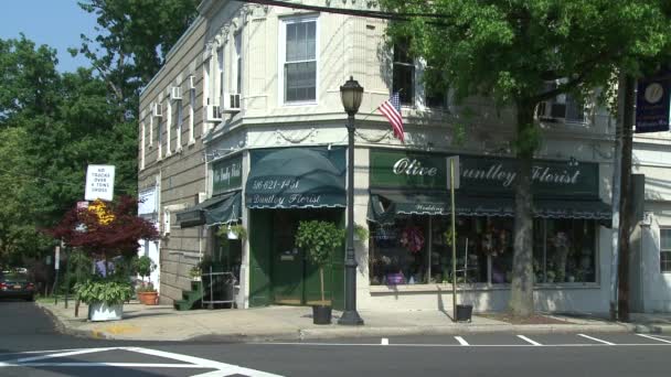 Florist shop on street corner — Stock Video