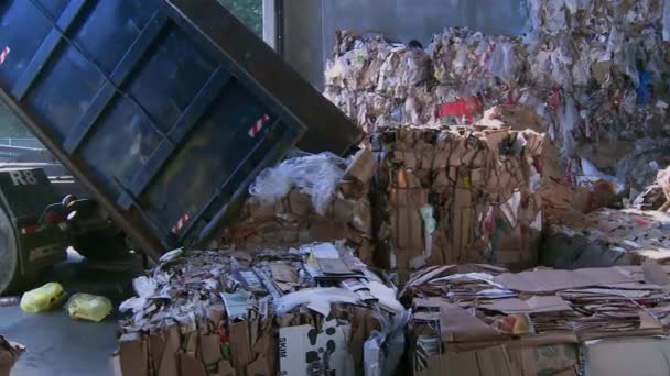 Achter de schermen kijken naar de stappen van moderne recycling — Stockvideo