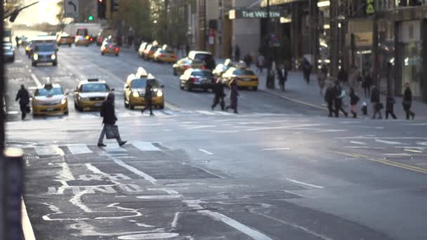 Taxis occupés à New York — Video