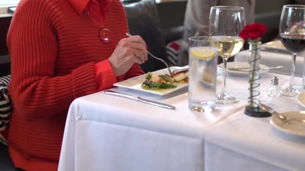 Vänner att ha middag på restaurang — Stockvideo