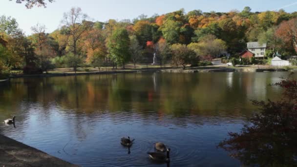Couleurs automnales rayonnant sur un lac 