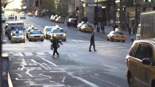 Rušné New York City taxi — Stock video