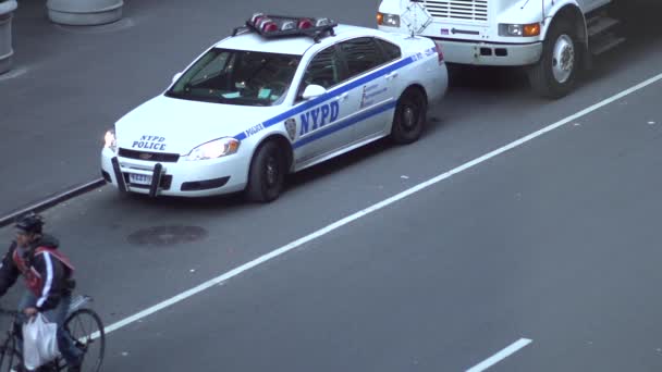 Scény policejní důstojníci poblíž policejní auto — Stock video