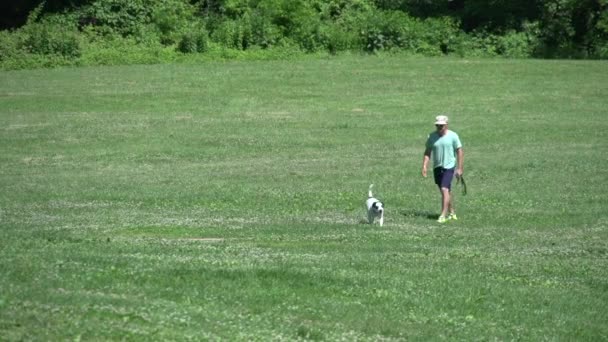 Perros jugando en un campo (4 de 6 ) — Vídeos de Stock