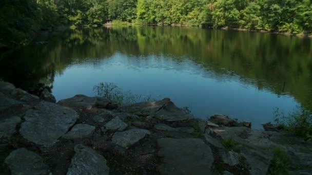 Lac entouré de verdure 