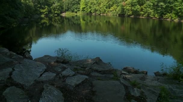 Jezero obklopené zelení — Stock video