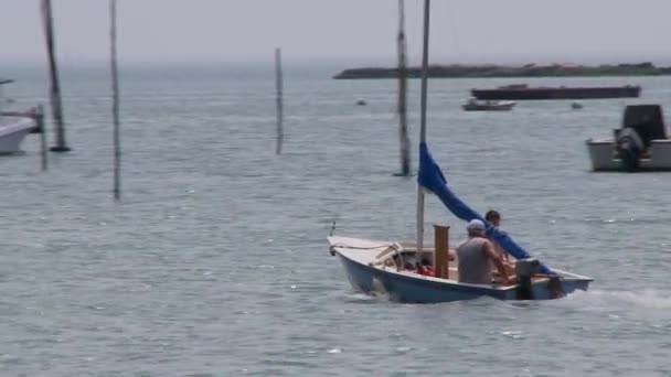 Desfrutando da orla marítima (2 de 9 ) — Vídeo de Stock