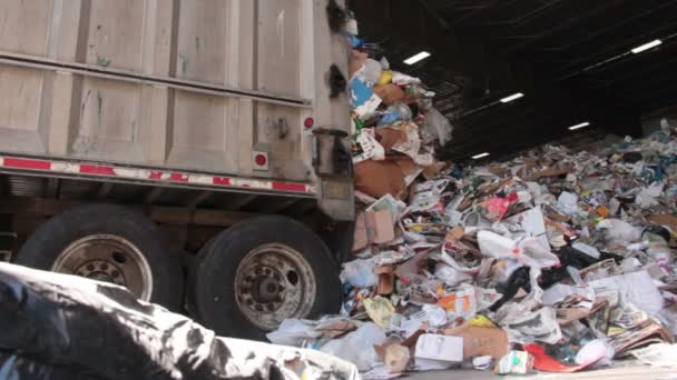 Een vrachtwagen dumpt prullenmand worden gerecycleerd — Stockvideo