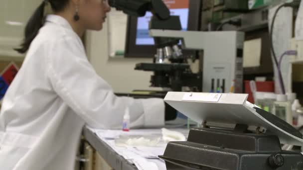 Una vista del trabajo típico dentro de un laboratorio médico — Vídeo de stock