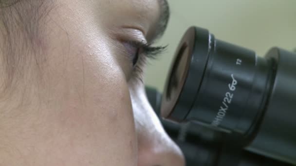 Uma visão do trabalho típico dentro de um laboratório médico — Vídeo de Stock