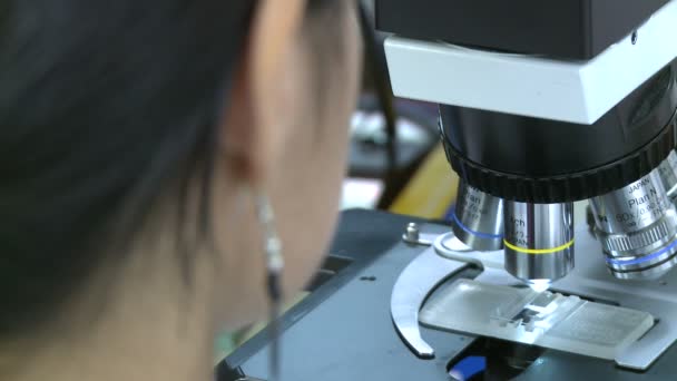 Uma visão do trabalho típico dentro de um laboratório médico — Vídeo de Stock