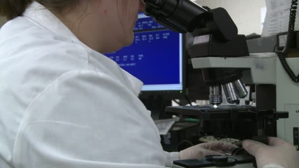 Una vista del trabajo típico dentro de un laboratorio médico — Vídeo de stock