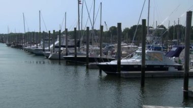 Güneşli kıyı (9 9 frequenting)